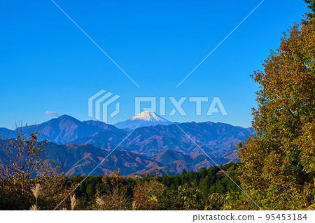 在晴朗的秋天從高尾山市町平展望台看到的富士山（從高尾山到小保克城山的山脊上） 95453184