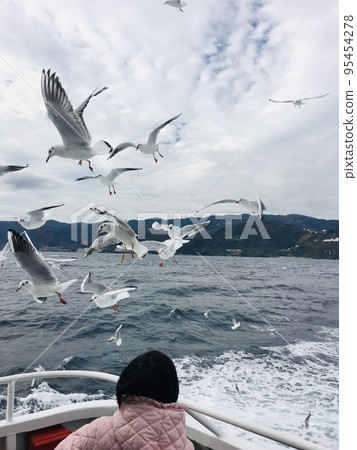 Ferry to Hatsushima Seagull Black-tailed gull [Shizuoka Prefecture] [Atami City] 95454278
