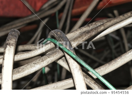 Rat sign attached to wiring Rat sign attached to wiring 95454556