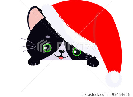 Cute black cat in Christmas hat Cute black cat in Christmas hat 95454606