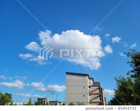 cloud jellyfish cloud jellyfish 95454731