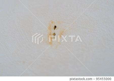 rust stains on wallpaper 95455000