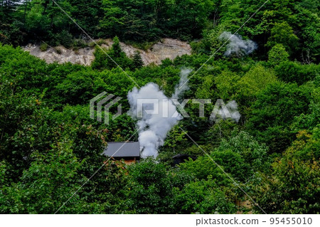 Kakkonda, Iwate Prefecture Steam rises in the forest 95455010