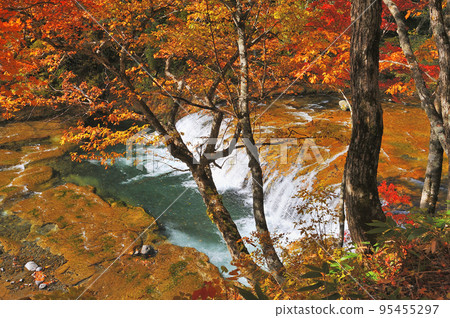 志賀高原口琴瀑布 95455297