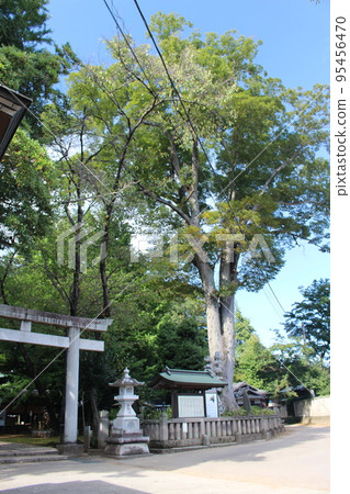 Nogi Shrine 95456470