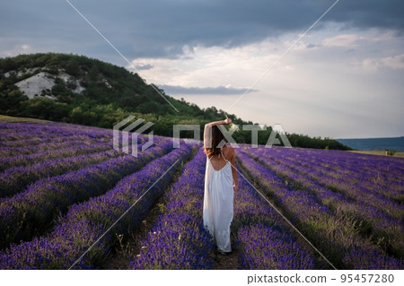Close up portrait of happy young brunette woman in white dress on blooming fragrant lavender fields with endless rows. Warm sunset light. Bushes of lavender purple aromatic flowers on lavender fields. Close up portrait of happy young brunette woman in white dress on blooming fragrant lavender fields with endless rows. Warm sunset light. Bushes of lavender purple aromatic flowers on lavender fields. 95457280
