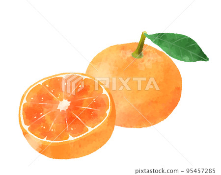 橘子插圖，手繪，水彩風格 95457285