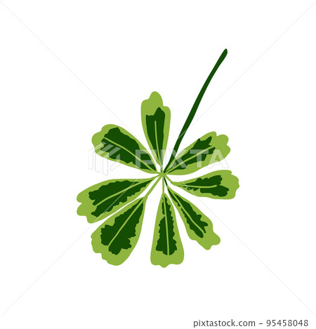 Tropical leaves. Botanical palm tropic leaf set. Vector foliage summer plant. Exotic jungle green design elements. 95458048