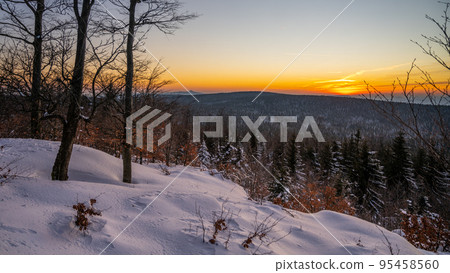 Winter landscape of Jizera Mountains at sunset time Winter landscape of Jizera Mountains at sunset time 95458560