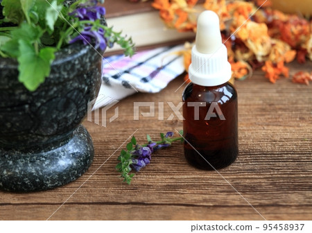 Tincture from Scutellaria lateriflora, known as blue skullcap or mad dog skull cap Tincture from Scutellaria lateriflora, known as blue skullcap or mad dog skull cap 95458937