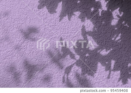 Shadow of leaves on purple concrete wall texture background 95459408