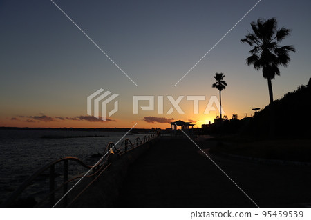 Coast at sunset Coast at sunset 95459539