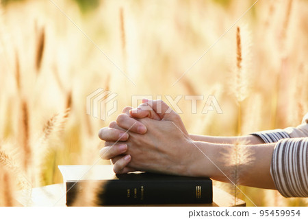 基督徒在感恩節、秋日陽光、蘆葦和大麥田風景中雙手合十祈禱 95459954