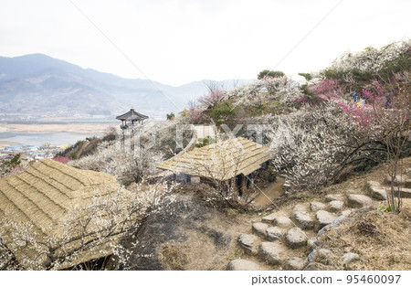 梅花村花苑草屋 95460097
