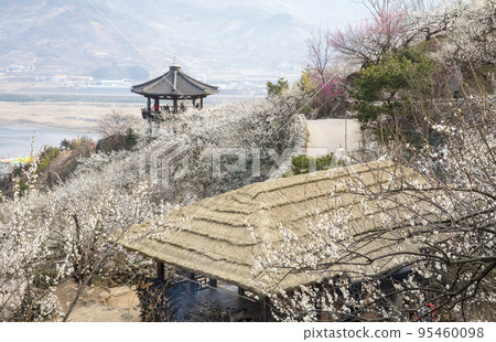 Plum Blossom Village Flower Garden Thatched House 95460098