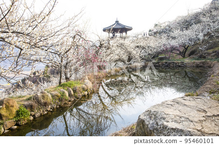 Plum Village Flower Garden Observatory and Lake in Full Bloom 95460101