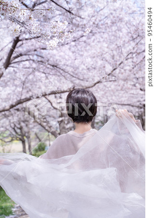 櫻花的新娘 95460494