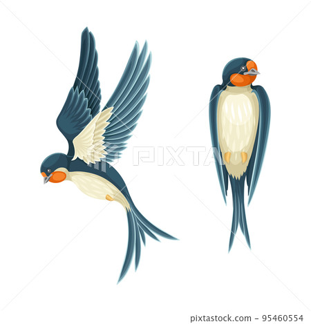 Swallow or Martin Passerine Bird with Long Tail and Pointed Wings Vector Set 95460554