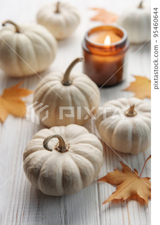 White decorative pumpkins White decorative pumpkins 95460644