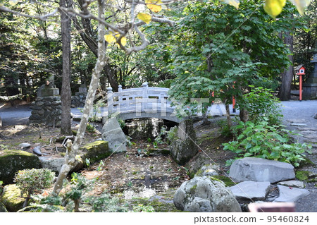 皮普神社 皮普神社 95460824