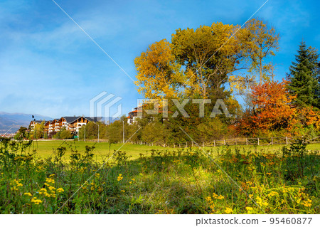 Bansko, Bulgaria autumn landscape, colorful trees Bansko, Bulgaria autumn landscape, colorful trees 95460877