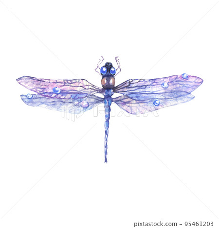 Hand drawn watercolor illustration of blue dragonfly isolated on white background. Hand drawn watercolor illustration of blue dragonfly isolated on white background. 95461203