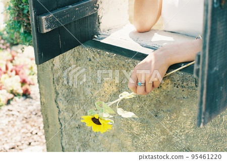 Summer and sunflowers by the window Summer and sunflowers by the window 95461220
