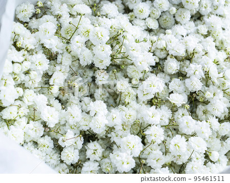 Festive bridal bouquet at a wedding of white flowers. Festive bridal bouquet at a wedding of white flowers. 95461511