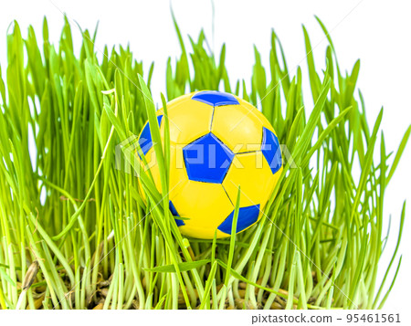 Soccer ball on the green grass of a football field lawn. Soccer ball on the green grass of a football field lawn. 95461561