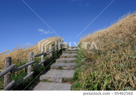 Stairs leading to Susukino Hill 95462568