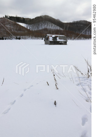 Hokkaido Okhotsk region An old cowshed in the snowfield 95462980