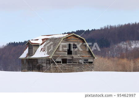Hokkaido Okhotsk region An old cowshed in the snowfield 95462997
