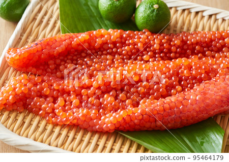 北海道生 Sujiko（白鮭魚） 95464179