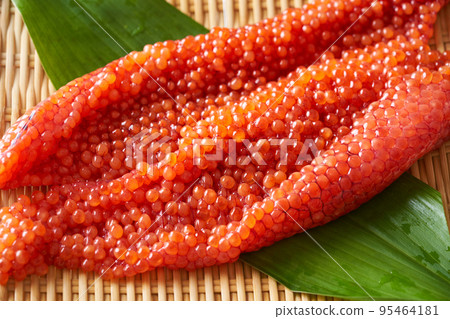 北海道生 Sujiko(白鮭魚) 北海道生 Sujiko(白鮭魚) 95464181