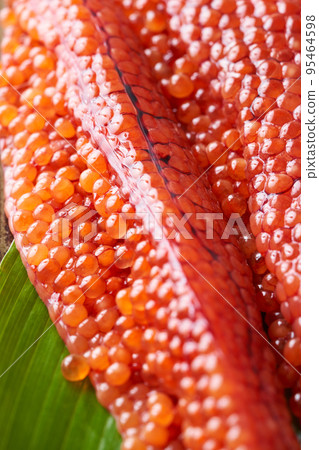 Hokkaido Raw Sujiko (White Salmon) 95464598