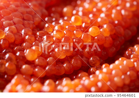 北海道生 Sujiko（白鮭魚） 95464601