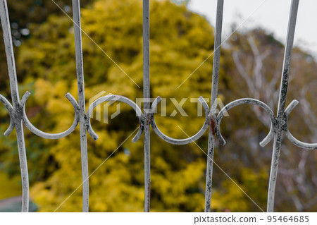 garden backyard at autumn, yellow leafs 95464685