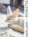Fennec 95464756