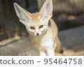 Fennec 95464758