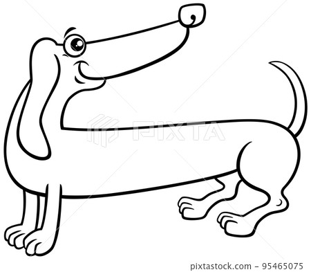 cartoon purebred dachshund dog coloring page cartoon purebred dachshund dog coloring page 95465075