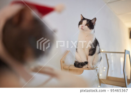 Cat scratching post wall mounted in modern room for pet on white wall, stylish decoration for cat owner with copy space. Cat scratching post wall mounted in modern room for pet on white wall, stylish decoration for cat owner with copy space. 95465367