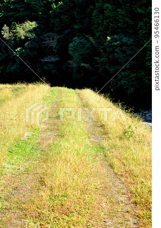 Autumn mountain path 95466130