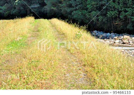 Autumn mountain path 95466133