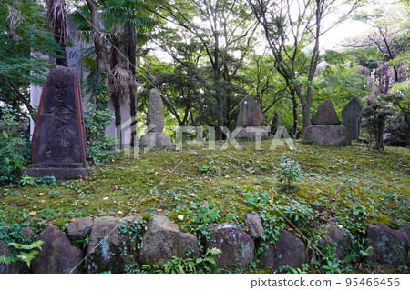 Mt. Toma Muryoko-ji Temple Tokumoto Buddhist Pagoda Mt. Toma Muryoko-ji Temple Tokumoto Buddhist Pagoda 95466456