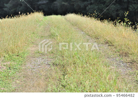 Autumn mountain path 95466482