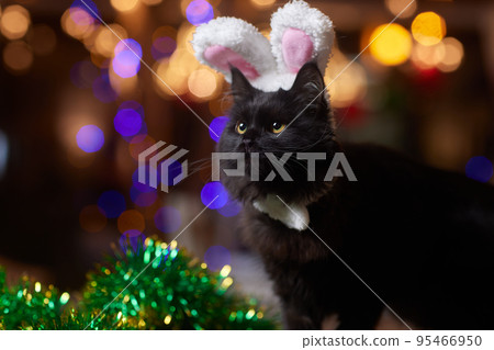 Cute cat in Santa Claus hat against blurred Christmas lights. 95466950