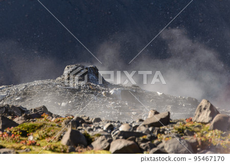 Geyser in Greenland at summer time Geyser in Greenland at summer time 95467170