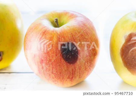傷痕累累的蘋果 傷痕累累的蘋果 95467710