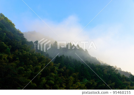 晨霧繚繞的山景 晨霧繚繞的山景 95468155