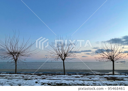 trees on the background of sea in Istanbul, Turkey trees on the background of sea in Istanbul, Turkey 95468461